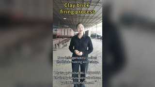 Horno Túnel para proceso de cocción de ladrillos de arcilla